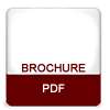 pdf icon