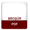 pdf icon